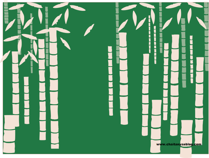 Bamboo trail – Minimalist illustration