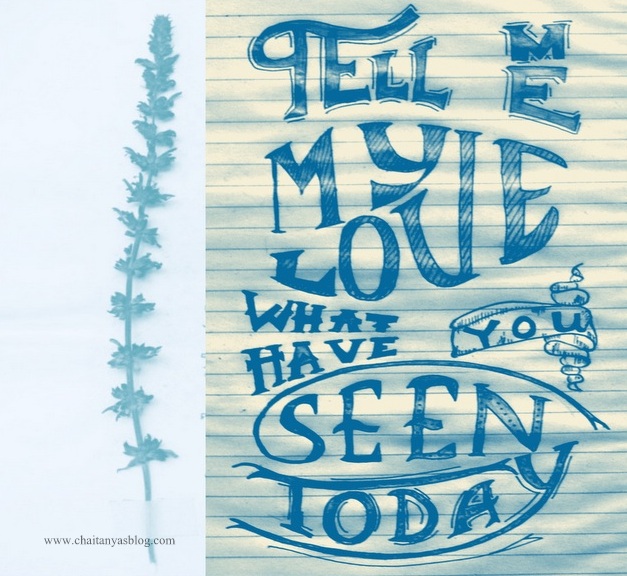 Tell me my love what have you seen today – Typography